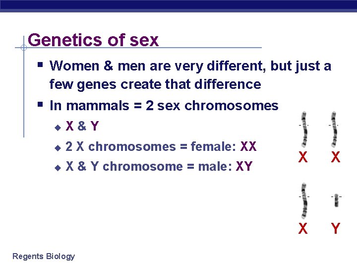 Genetics of sex § Women & men are very different, but just a few