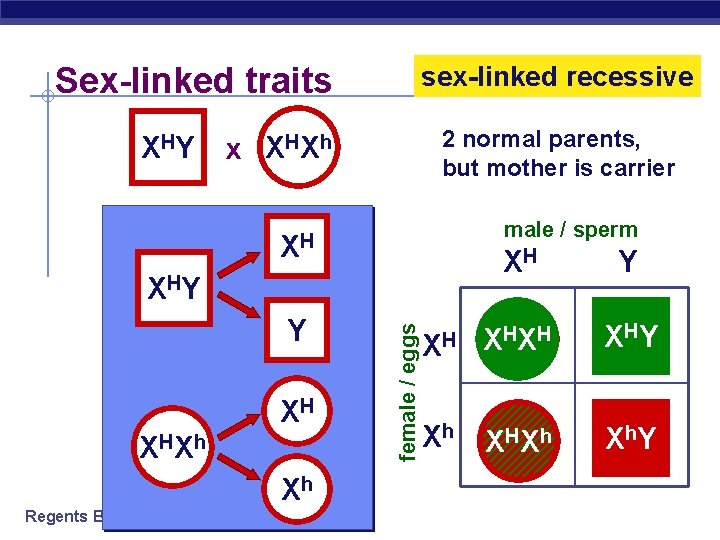 Sex-linked traits sex-linked recessive 2 normal parents, but mother is carrier HY HX h