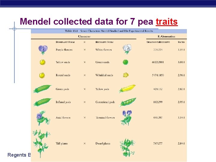 Mendel collected data for 7 pea traits Regents Biology 
