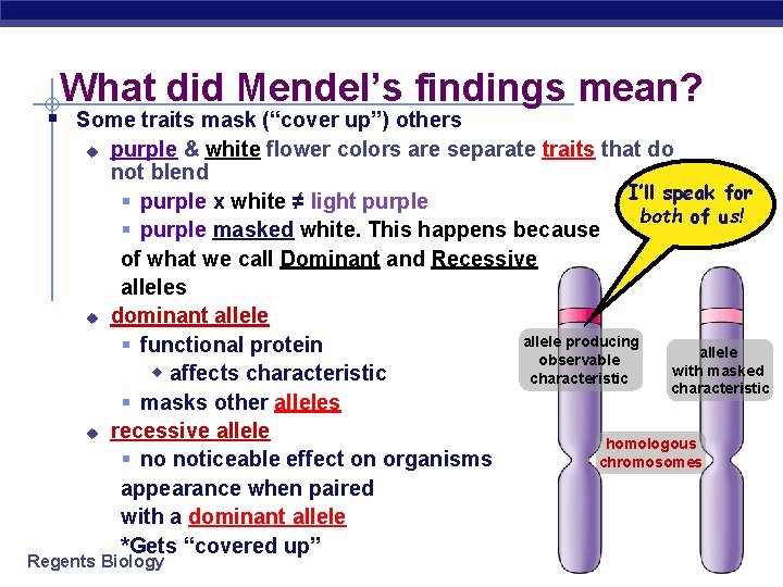 What did Mendel’s findings mean? § Some traits mask (“cover up”) others u u
