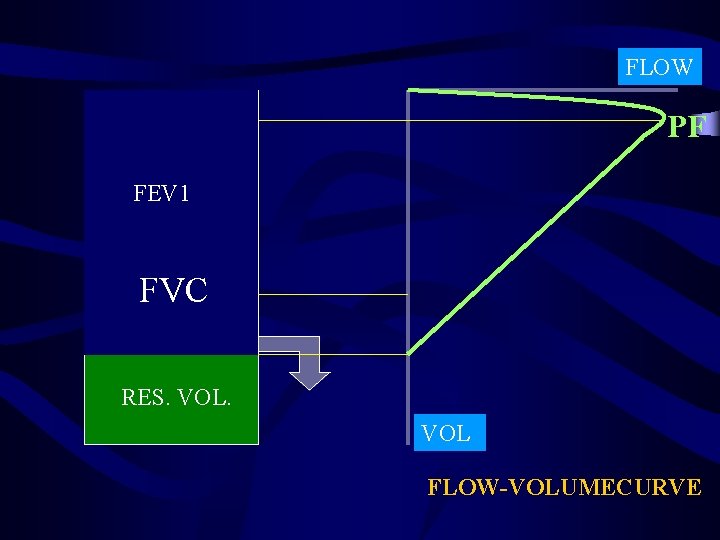 FLOW PF FEV 1 FVC RES. VOL FLOW-VOLUMECURVE 