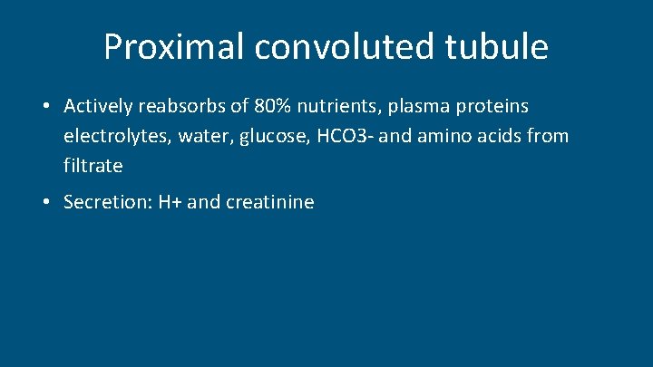 Proximal convoluted tubule • Actively reabsorbs of 80% nutrients, plasma proteins electrolytes, water, glucose,