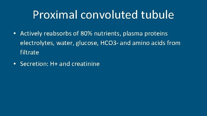 Proximal convoluted tubule • Actively reabsorbs of 80% nutrients, plasma proteins electrolytes, water, glucose,