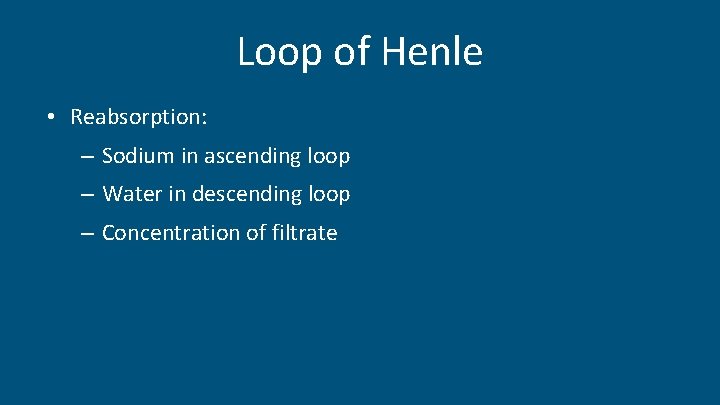 Loop of Henle • Reabsorption: – Sodium in ascending loop – Water in descending