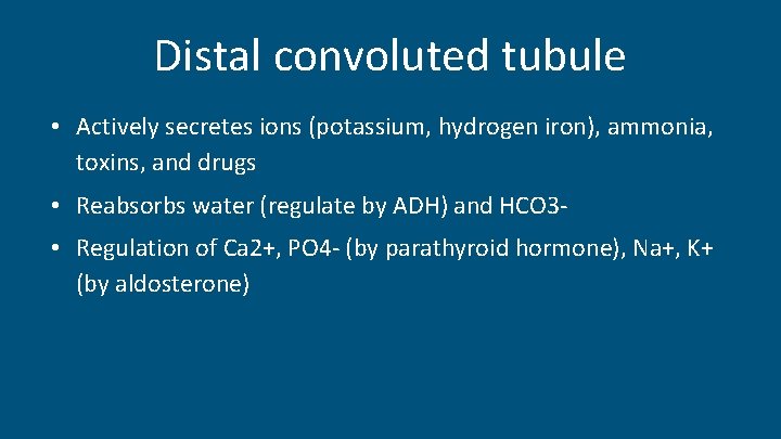 Distal convoluted tubule • Actively secretes ions (potassium, hydrogen iron), ammonia, toxins, and drugs