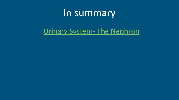 In summary Urinary System- The Nephron 