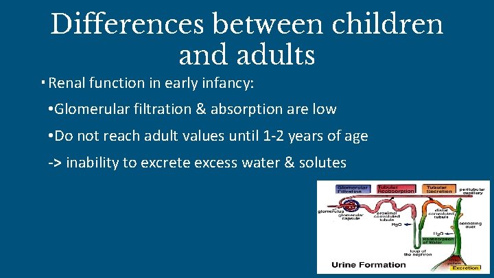 Differences between children and adults • Renal function in early infancy: • Glomerular filtration