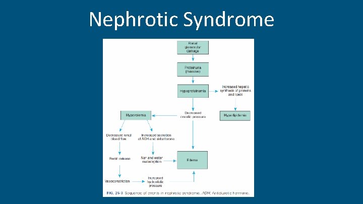 Nephrotic Syndrome 