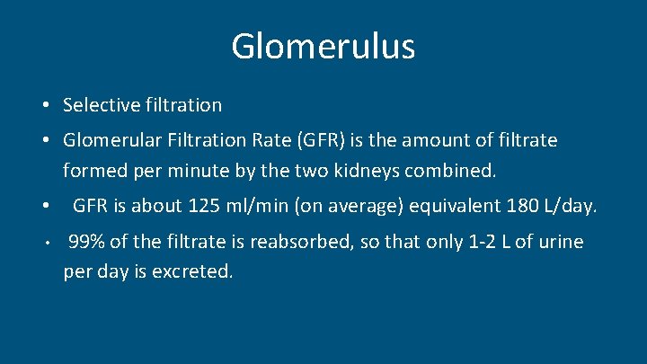 Glomerulus • Selective filtration • Glomerular Filtration Rate (GFR) is the amount of filtrate