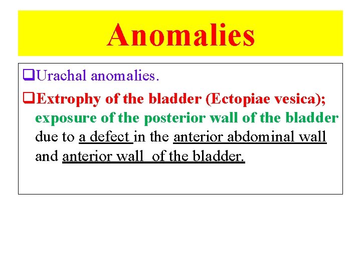 Anomalies q. Urachal anomalies. q. Extrophy of the bladder (Ectopiae vesica); exposure of the