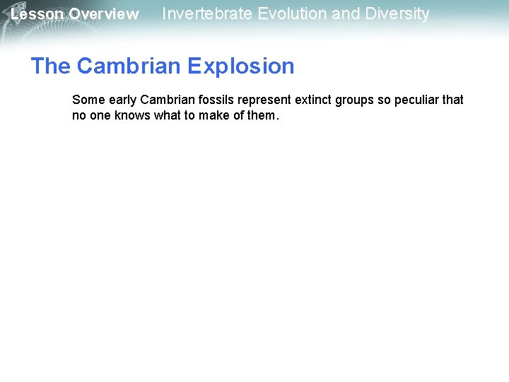 Lesson Overview Invertebrate Evolution and Diversity The Cambrian Explosion Some early Cambrian fossils represent