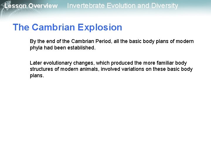 Lesson Overview Invertebrate Evolution and Diversity The Cambrian Explosion By the end of the