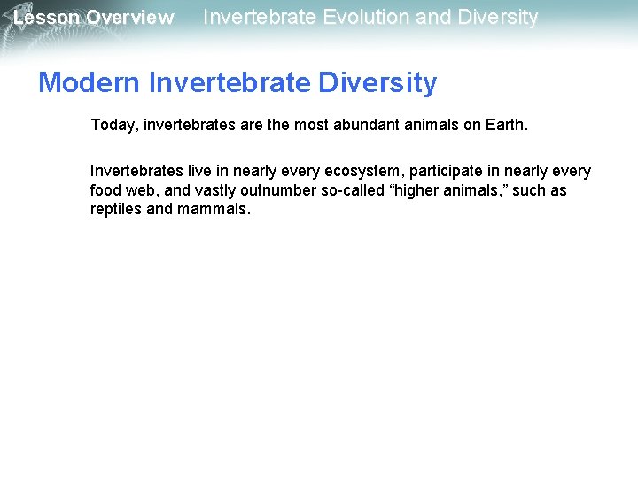 Lesson Overview Invertebrate Evolution and Diversity Modern Invertebrate Diversity Today, invertebrates are the most