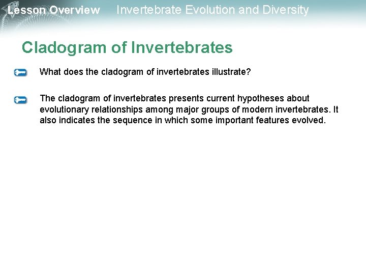 Lesson Overview Invertebrate Evolution and Diversity Cladogram of Invertebrates What does the cladogram of