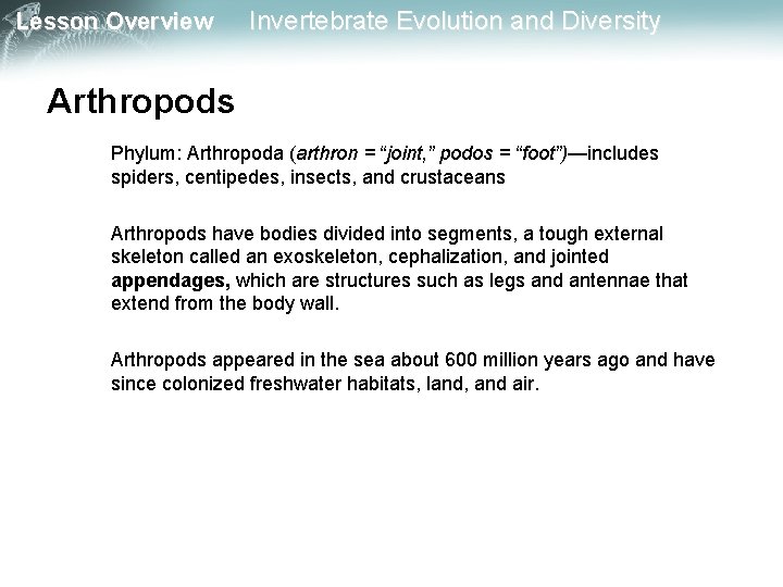 Lesson Overview Invertebrate Evolution and Diversity Arthropods Phylum: Arthropoda (arthron = “joint, ” podos