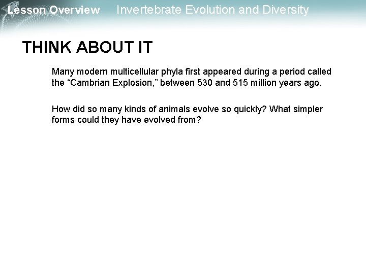 Lesson Overview Invertebrate Evolution and Diversity THINK ABOUT IT Many modern multicellular phyla first