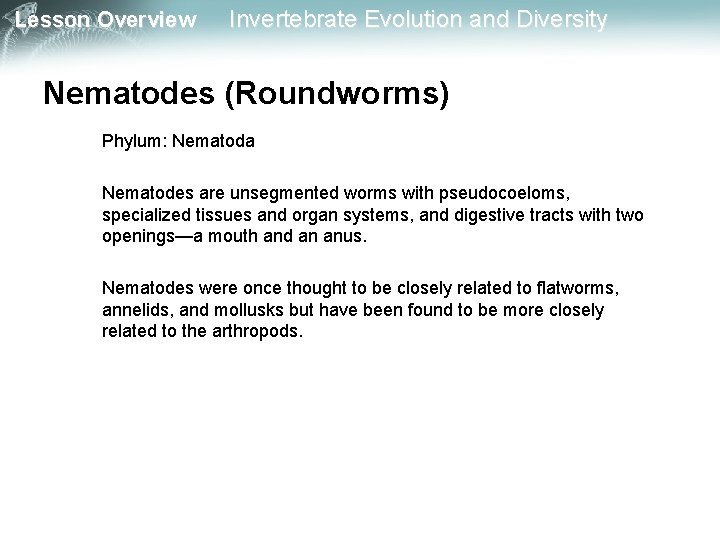 Lesson Overview Invertebrate Evolution and Diversity Nematodes (Roundworms) Phylum: Nematoda Nematodes are unsegmented worms