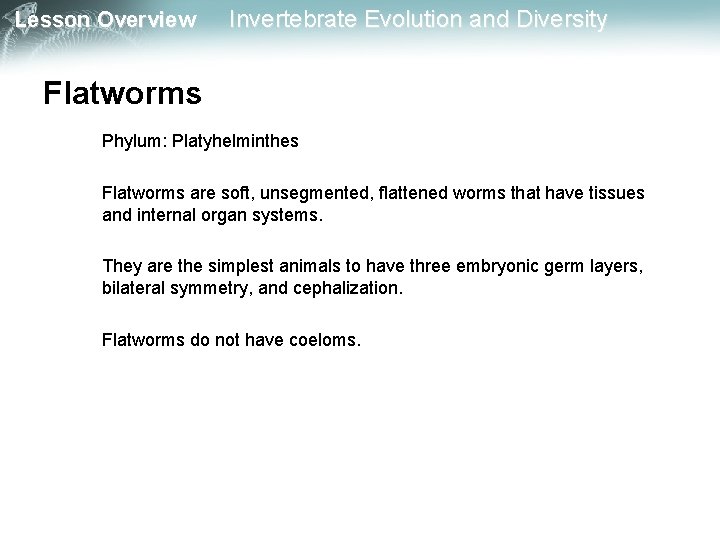 Lesson Overview Invertebrate Evolution and Diversity Flatworms Phylum: Platyhelminthes Flatworms are soft, unsegmented, flattened