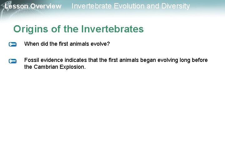 Lesson Overview Invertebrate Evolution and Diversity Origins of the Invertebrates When did the first