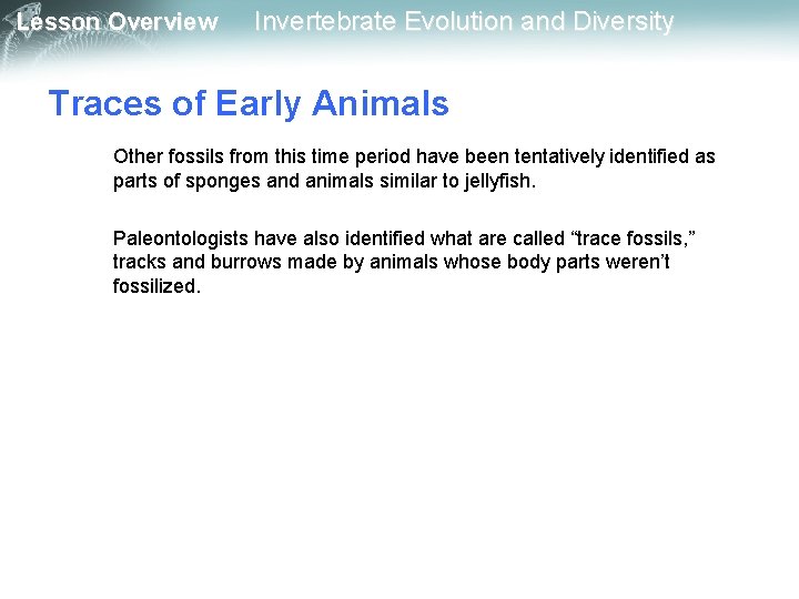 Lesson Overview Invertebrate Evolution and Diversity Traces of Early Animals Other fossils from this