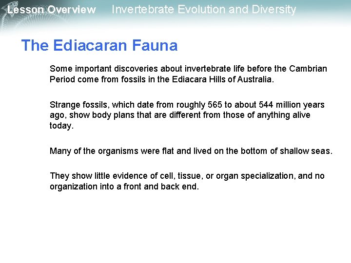 Lesson Overview Invertebrate Evolution and Diversity The Ediacaran Fauna Some important discoveries about invertebrate