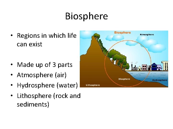 Biosphere • Regions in which life can exist • • Made up of 3