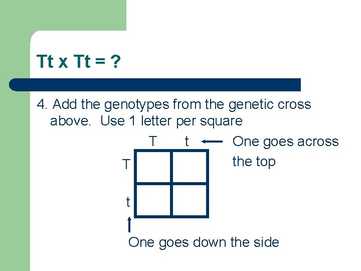 Tt x Tt = ? 4. Add the genotypes from the genetic cross above.