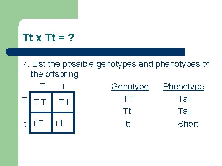 Tt x Tt = ? 7. List the possible genotypes and phenotypes of the