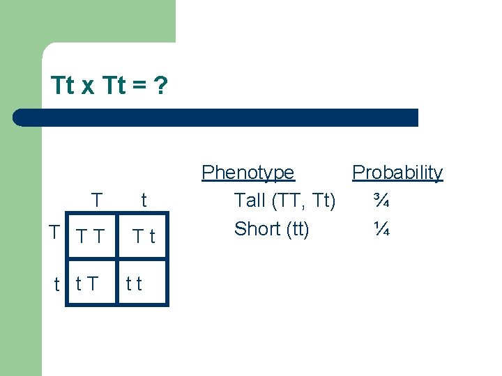 Tt x Tt = ? T T TT t t. T t Tt tt