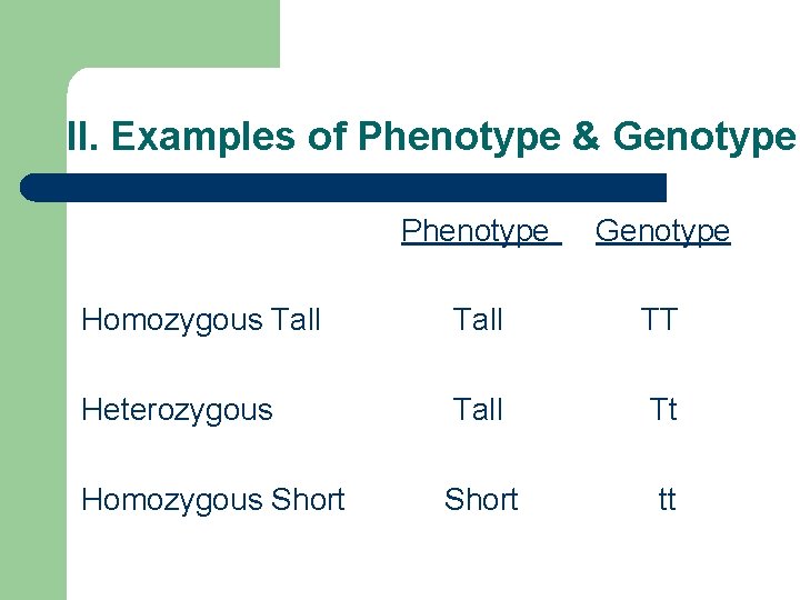 II. Examples of Phenotype & Genotype Phenotype Genotype Homozygous Tall TT Heterozygous Tall Tt