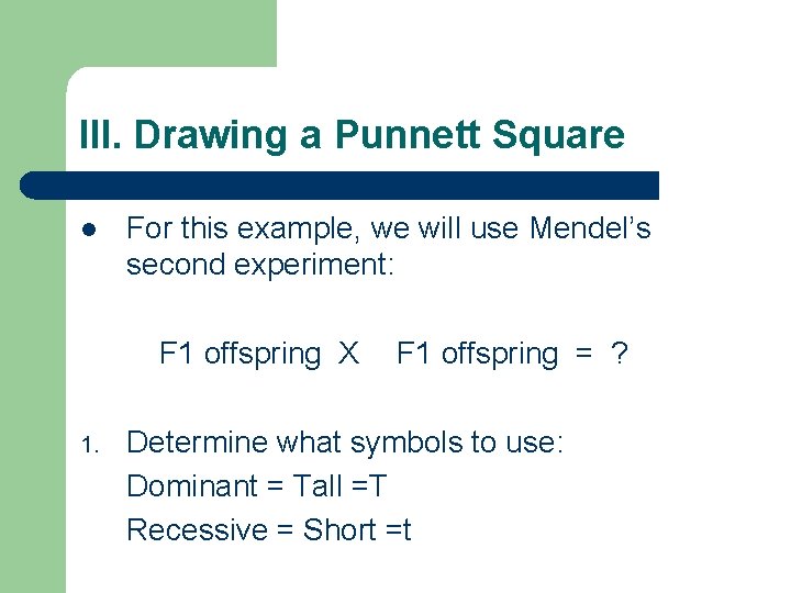 III. Drawing a Punnett Square l For this example, we will use Mendel’s second