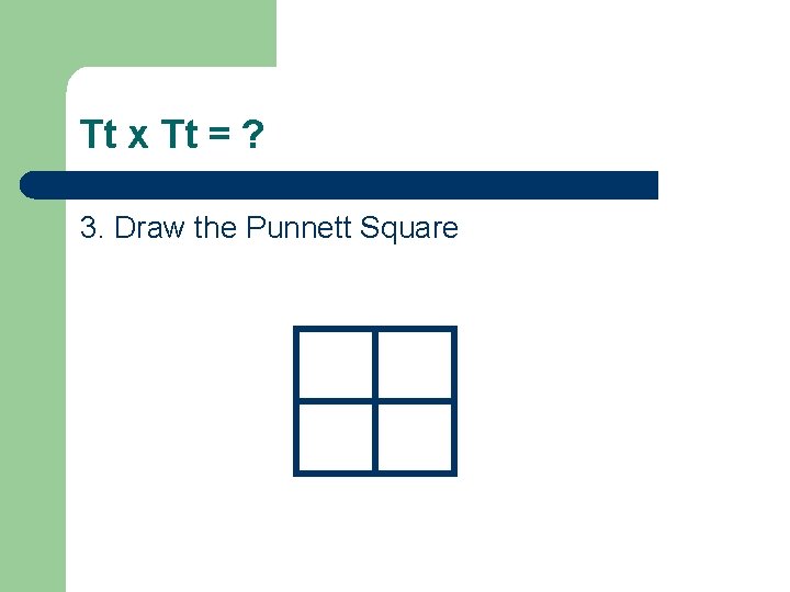 Tt x Tt = ? 3. Draw the Punnett Square 