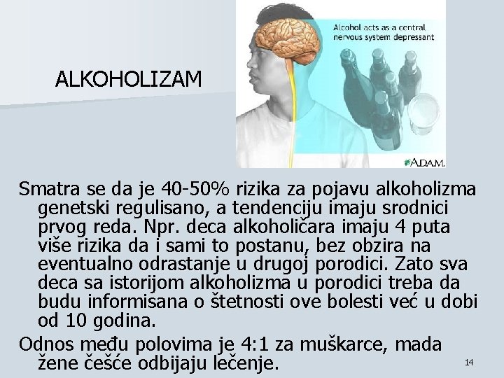 ALKOHOLIZAM Smatra se da je 40 -50% rizika za pojavu alkoholizma genetski regulisano, a