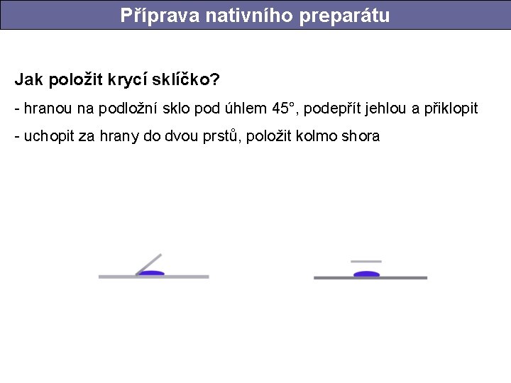 Příprava nativního preparátu Jak položit krycí sklíčko? - hranou na podložní sklo pod úhlem Příprava nativního preparátu Jak položit krycí sklíčko? - hranou na podložní sklo pod úhlem