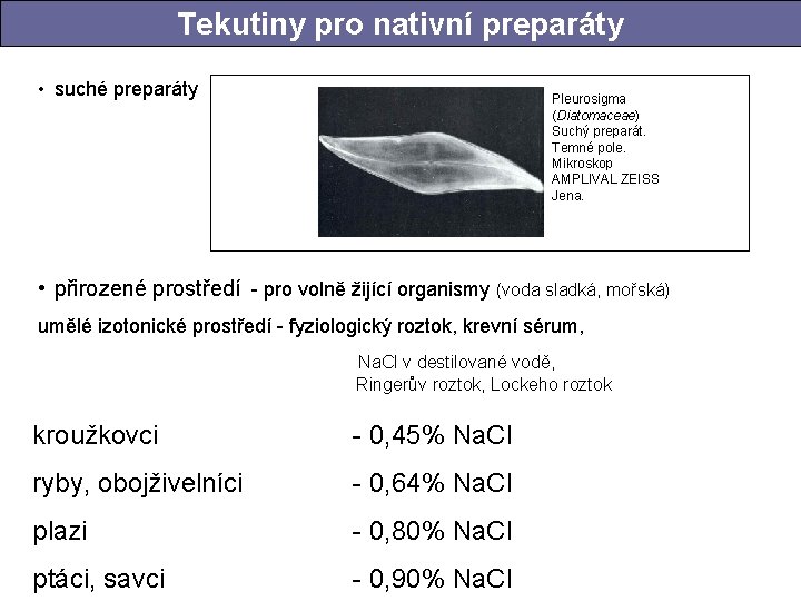 Tekutiny pro nativní preparáty • suché preparáty Pleurosigma (Diatomaceae) Suchý preparát. Temné pole. Mikroskop Tekutiny pro nativní preparáty • suché preparáty Pleurosigma (Diatomaceae) Suchý preparát. Temné pole. Mikroskop