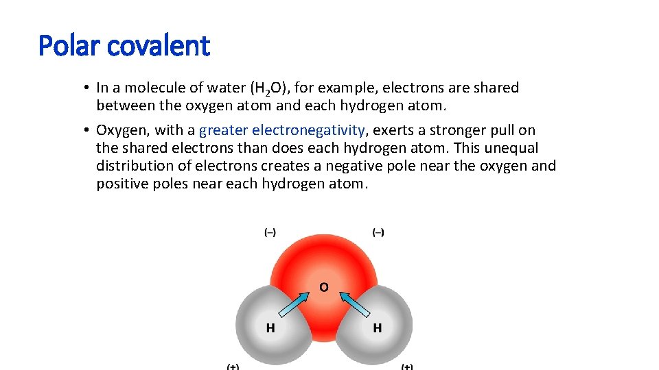 Polar covalent • In a molecule of water (H 2 O), for example, electrons