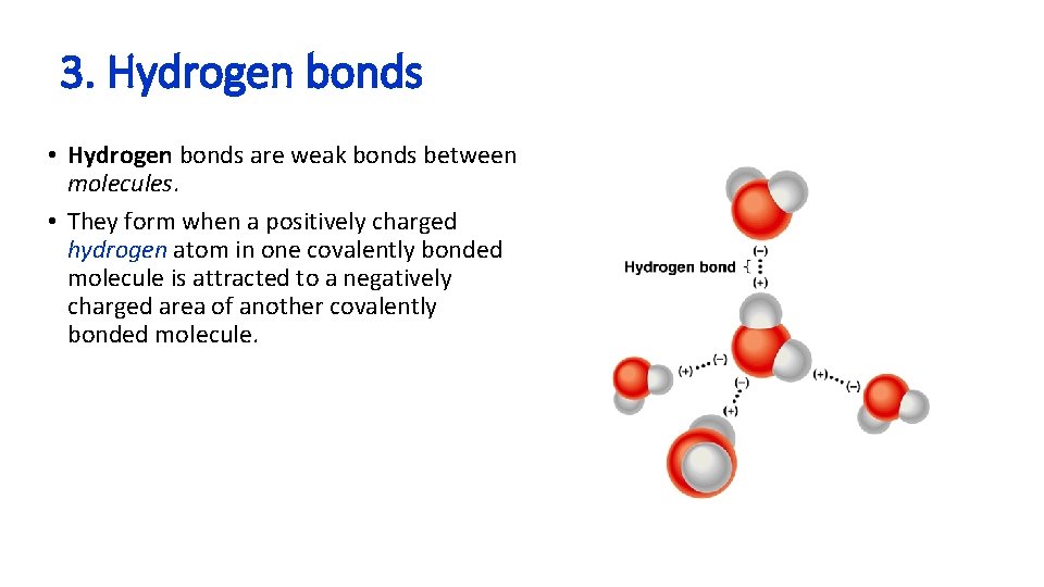 3. Hydrogen bonds • Hydrogen bonds are weak bonds between molecules. • They form