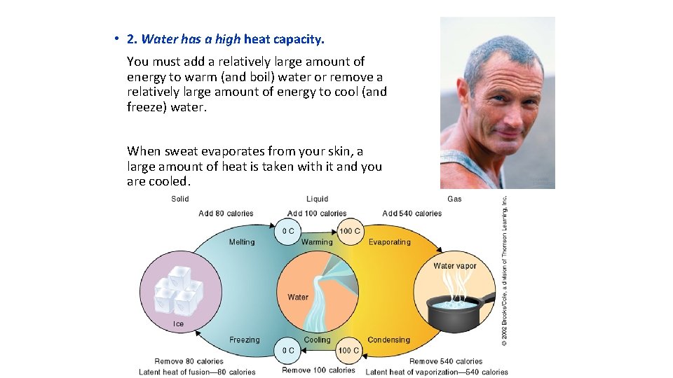  • 2. Water has a high heat capacity. You must add a relatively