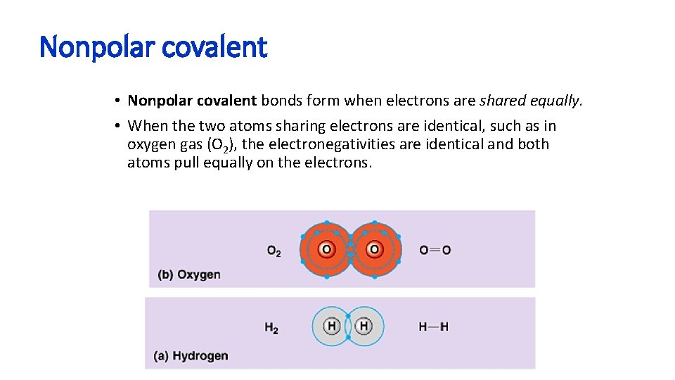 Nonpolar covalent • Nonpolar covalent bonds form when electrons are shared equally. • When