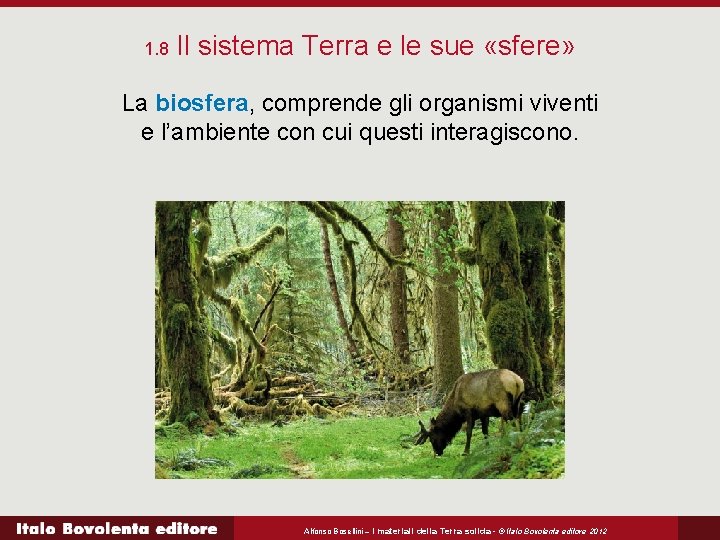 1. 8 Il sistema Terra e le sue «sfere» La biosfera, comprende gli organismi