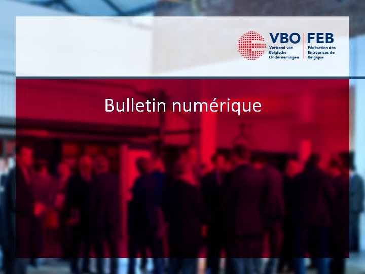 Bulletin numérique 