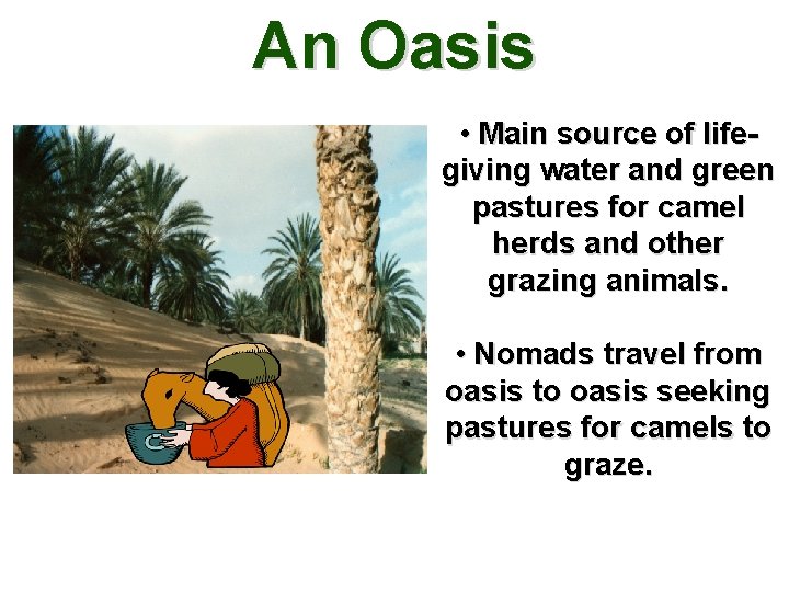 An Oasis • Main source of lifegiving water and green pastures for camel herds