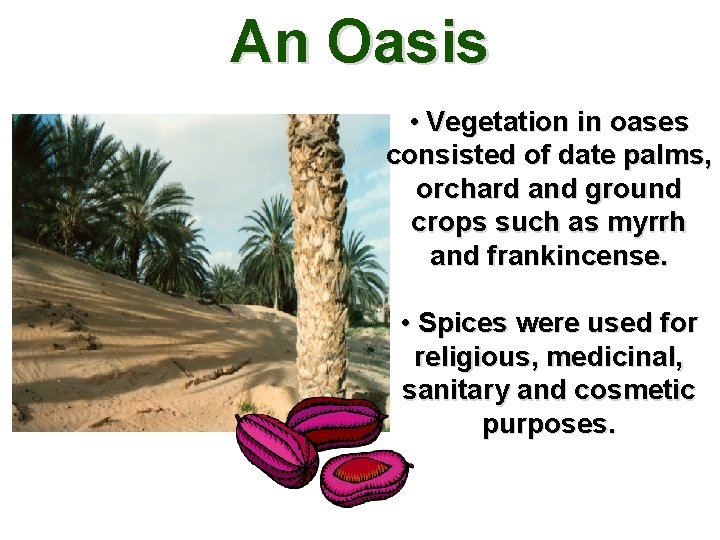 An Oasis • Vegetation in oases consisted of date palms, orchard and ground crops