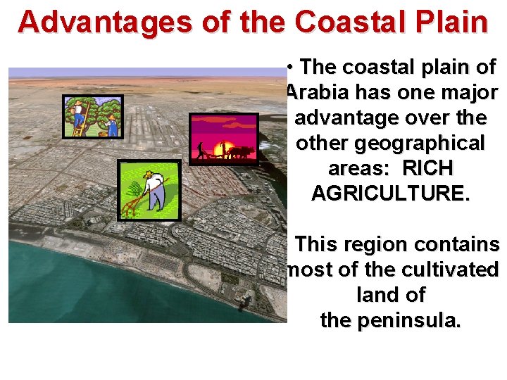 Advantages of the Coastal Plain • The coastal plain of Arabia has one major