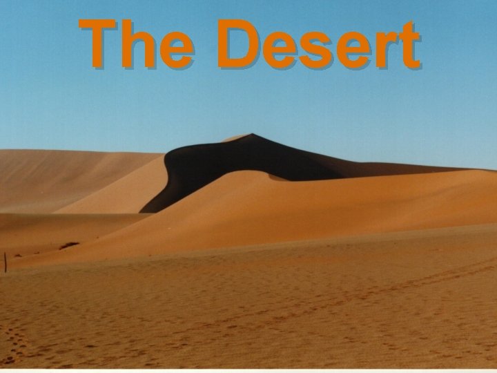 The Desert 