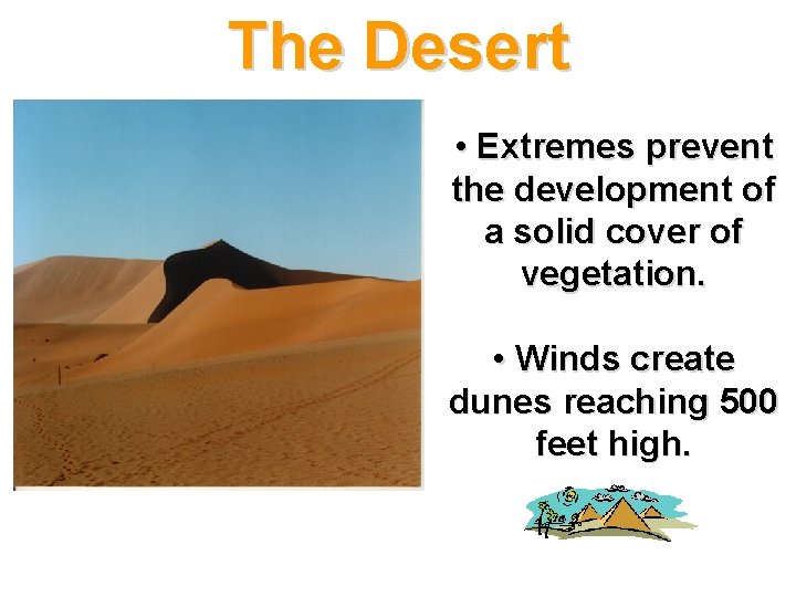 The Desert • Extremes prevent the development of a solid cover of vegetation. •