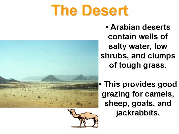 The Desert • Arabian deserts contain wells of salty water, low shrubs, and clumps