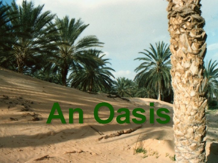 An Oasis 