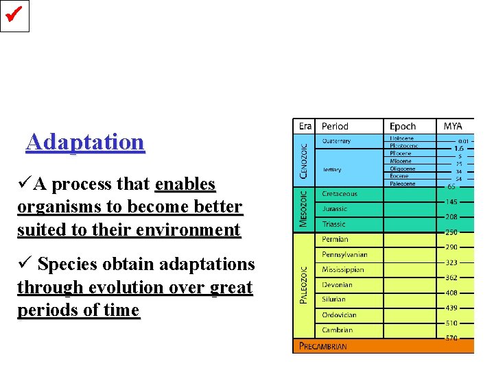  Adaptation üA process that enables organisms to become better suited to their environment