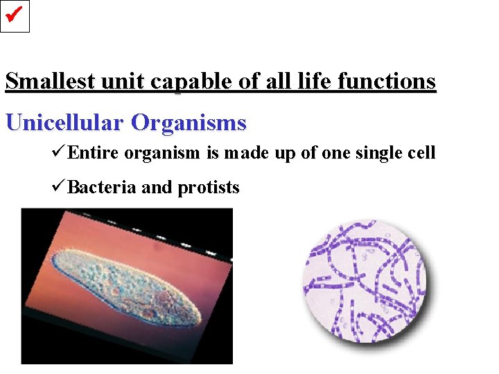  Smallest unit capable of all life functions Unicellular Organisms üEntire organism is made